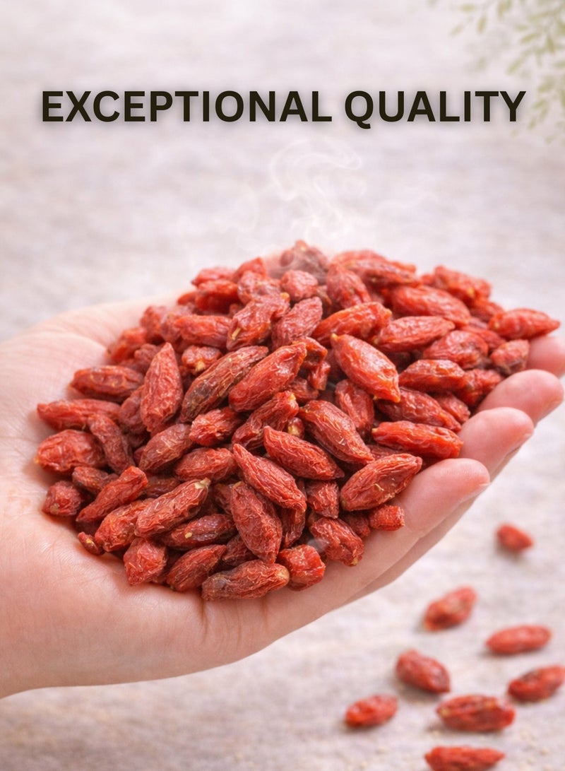 Zahr Wolf Berry (Goji Berry) Whole | Toot Al Dhi’b | Lycium barbarum | 100% Natural Sun-Dried Berries for Gardening, Horticulture & Botanical Use - Image 5